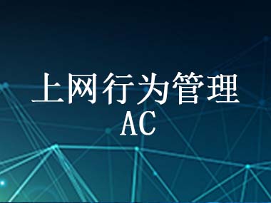 上网行为管理产品解决方案